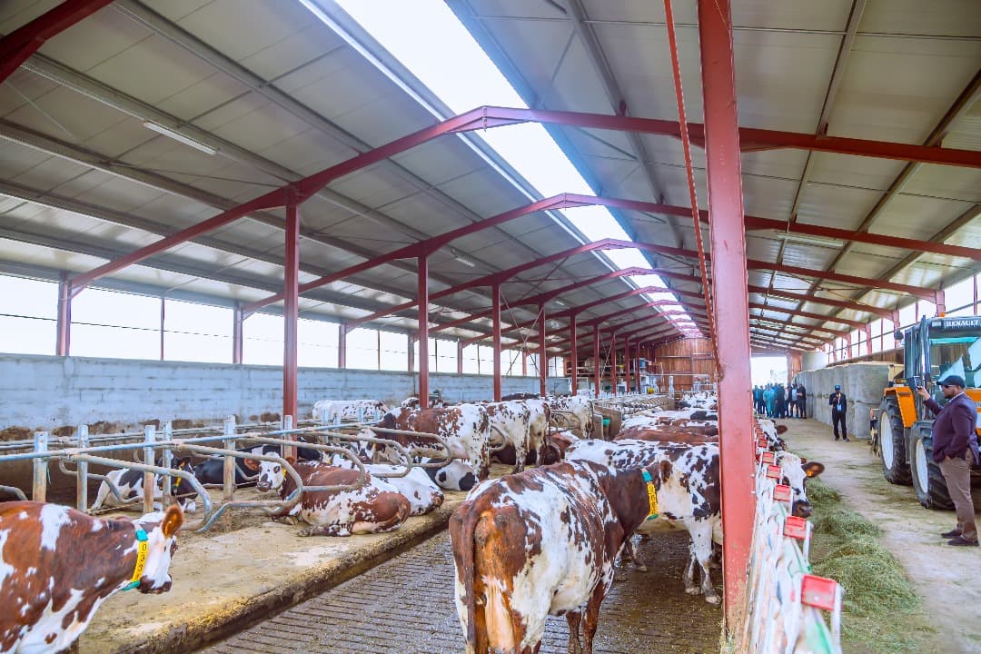 Agriculture project in Osun State