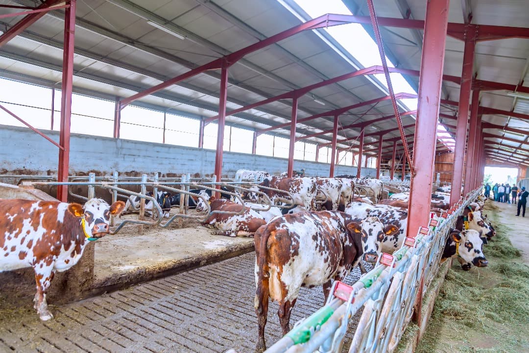 Agriculture project in Osun State