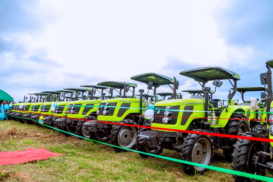 Osun agriculture and livestock project photo 3