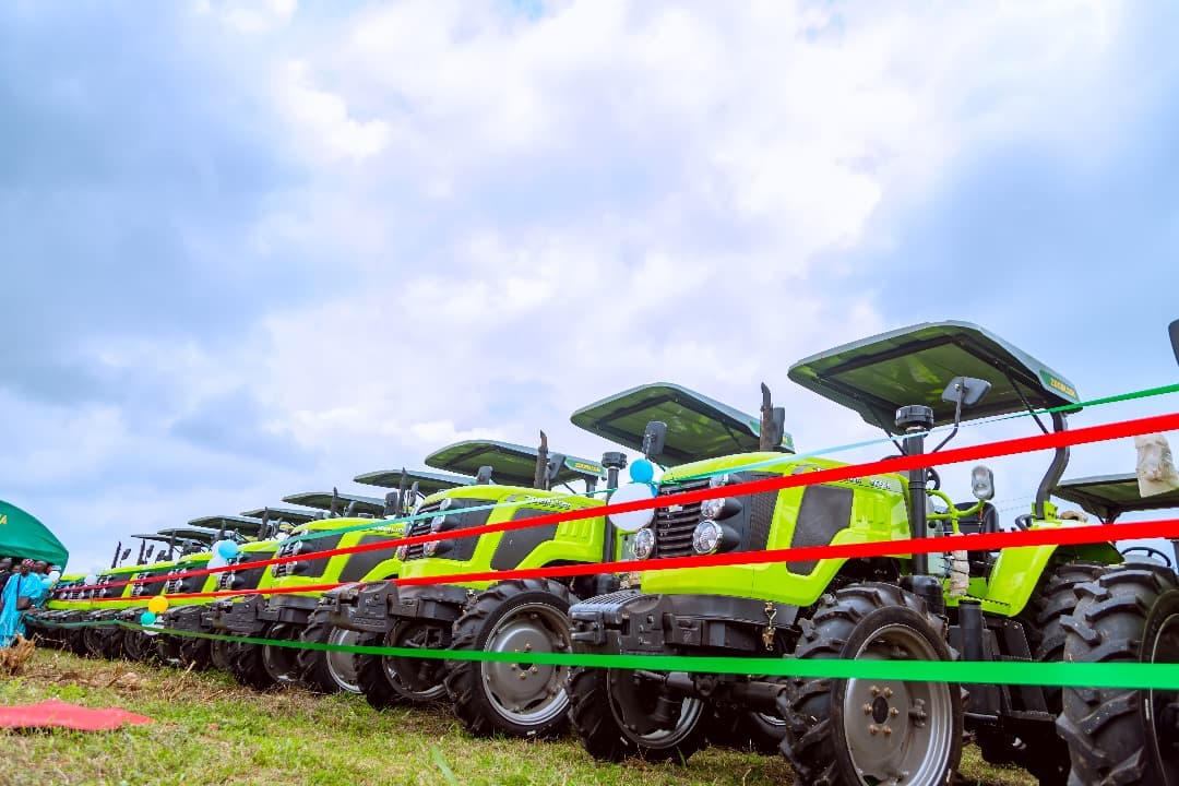 Osun agriculture and livestock project photo 6