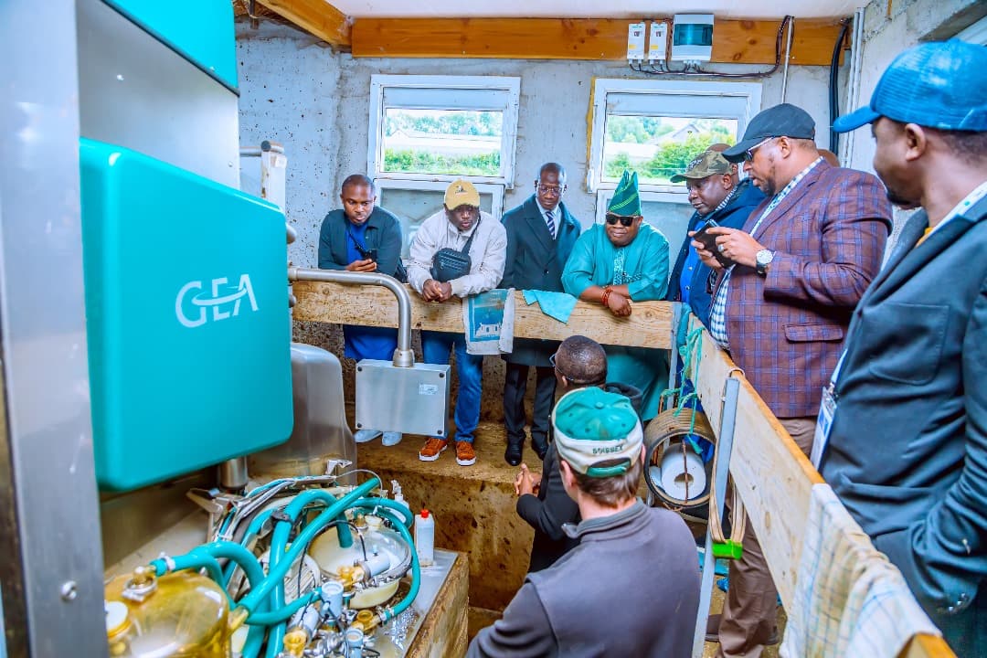 Osun agriculture and livestock project photo 7