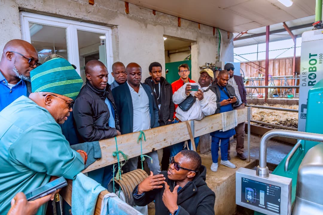 Osun agriculture and livestock project photo 9